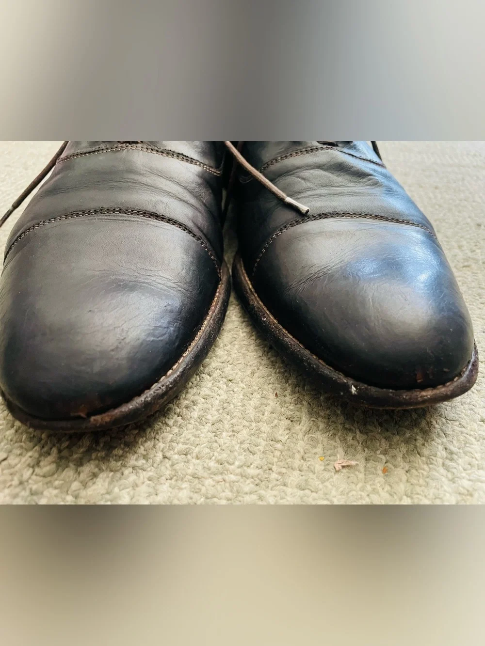 ALEXANDER McQUEEN Dark Brown Leather Lace-Up Oxfords & Dust Bag
